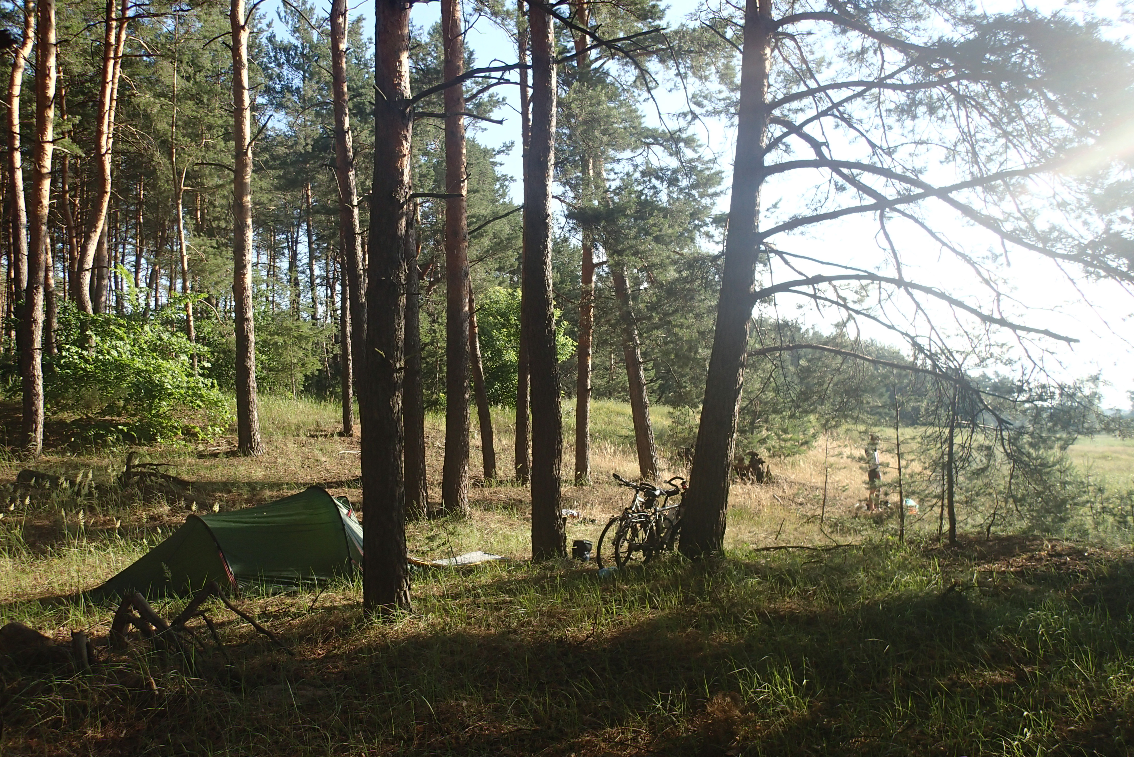 Ons kampement in de bosrand, 's ochtends voor het ontbijt