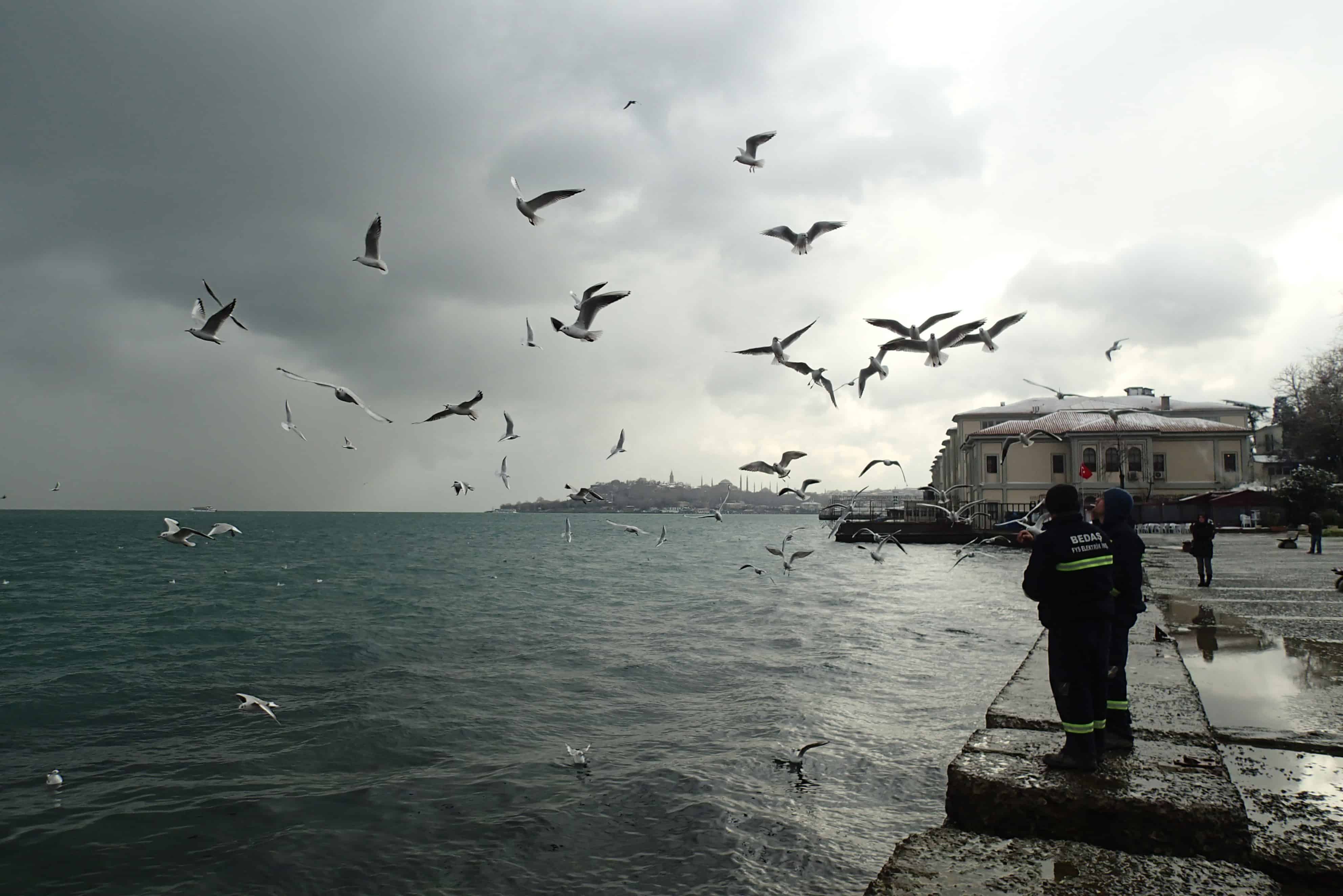Twee havenmeesters voeren brood aan de meeuwen boven de Bosporus